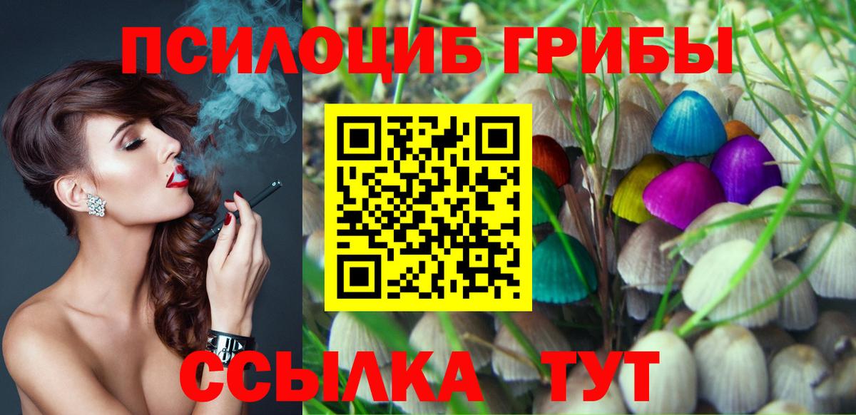Галлюциногенные грибы Советск