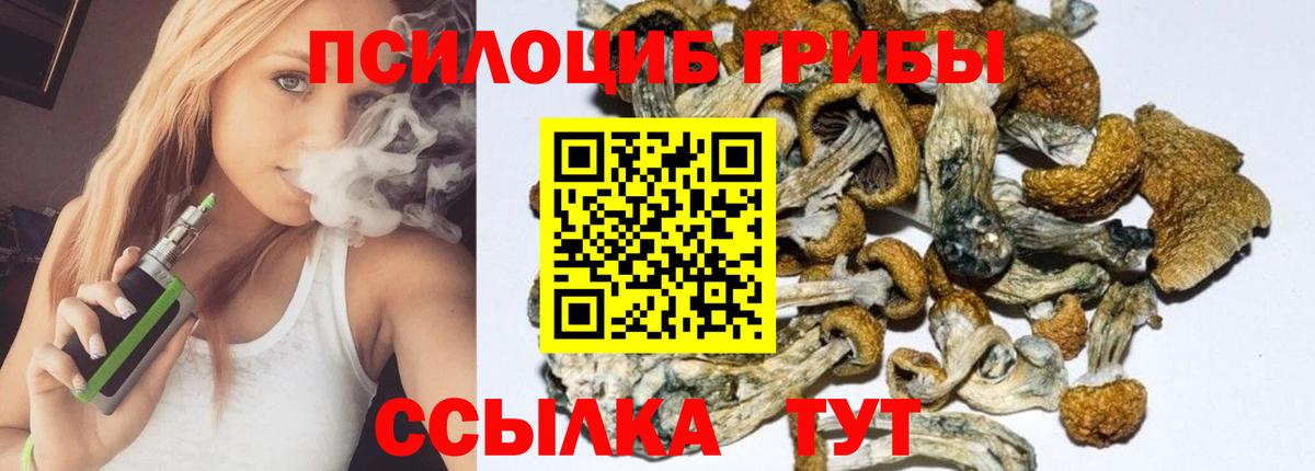 Галлюциногенные грибы Psilocybine cubensis  Вход с VPN  Псилоцибиновые грибы Psilocybe  Советск 