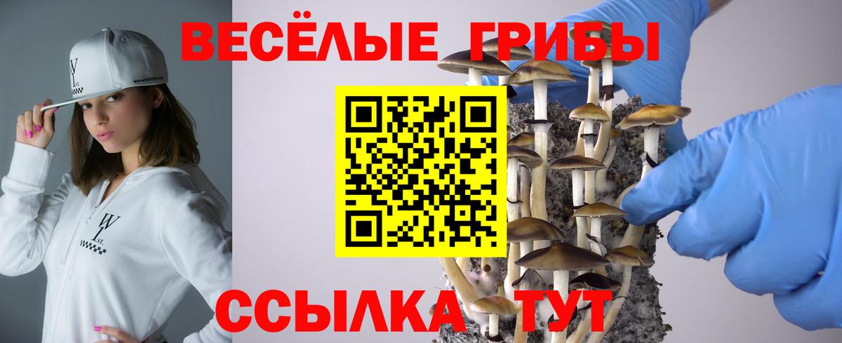 Галлюциногенные грибы прущие грибы Советск